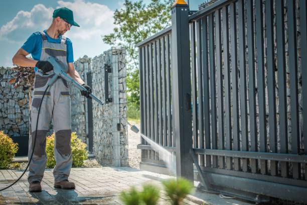 Best Rust Removal  in Paxton, IL