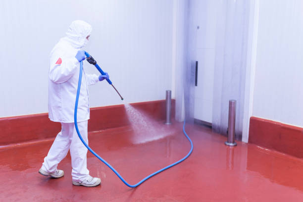 Best Winterizing Services  in Paxton, IL
