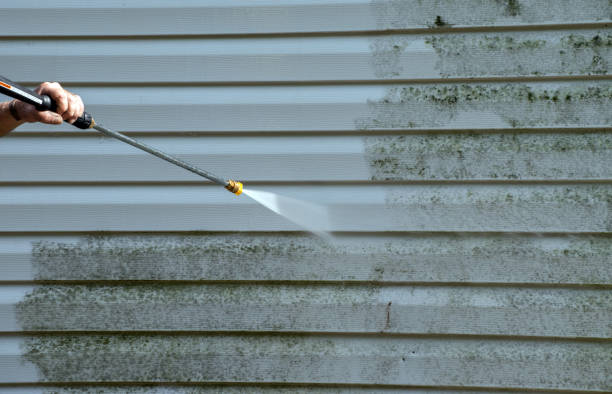 Best Building Exterior Washing  in Paxton, IL